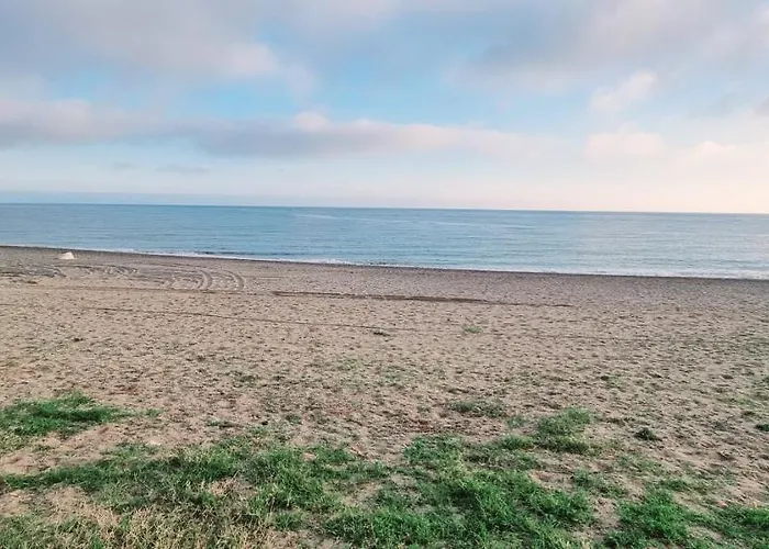 - Playa - En Park Con Terraza Y Jardin Privado Pb6 Estepona